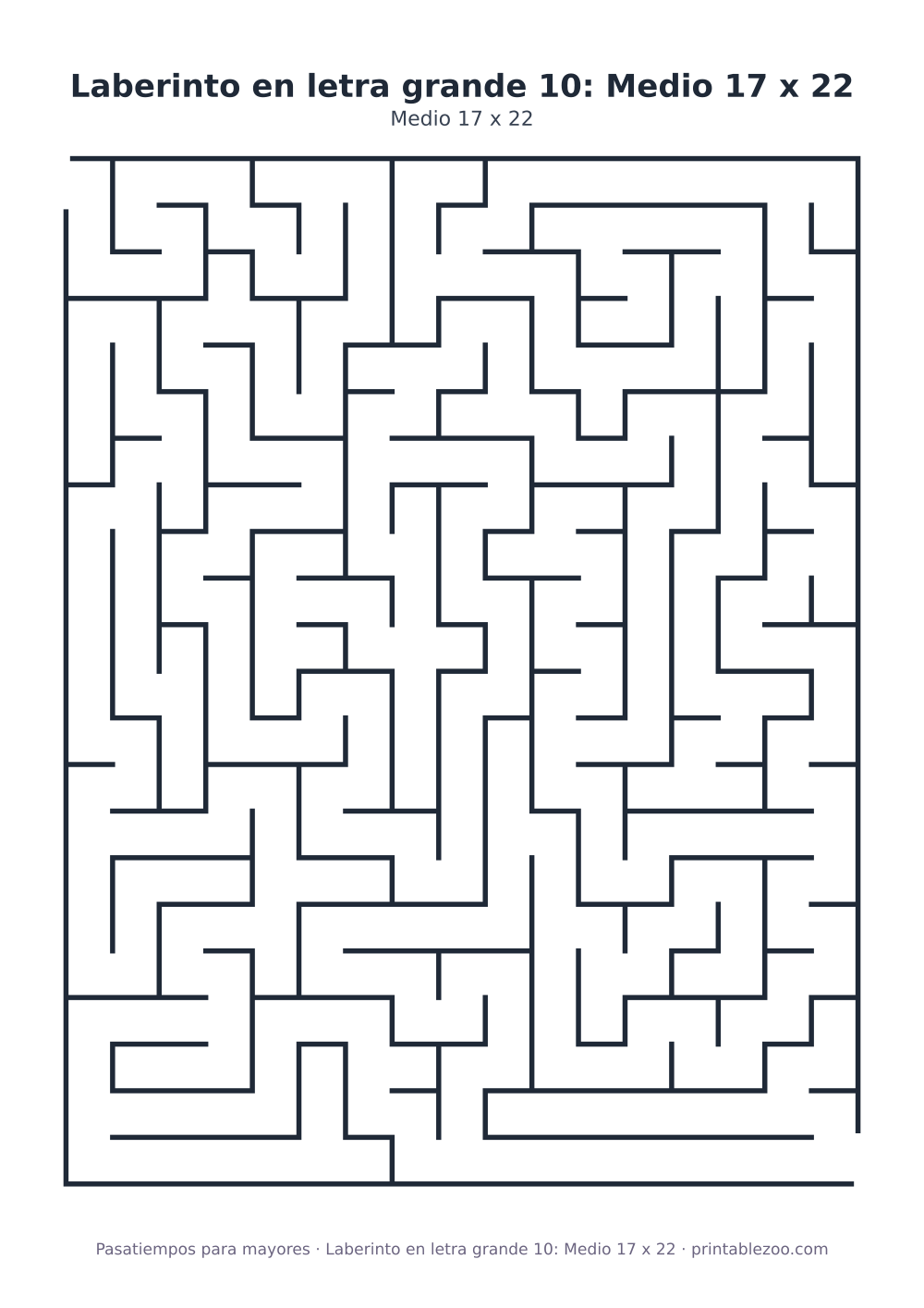 Laberinto en letra grande 10: Medio 17 x 22