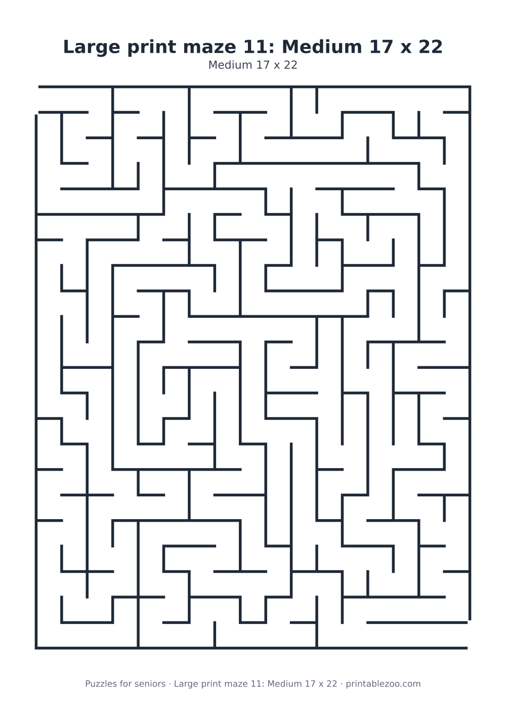 Large print maze 11: Medium 17 x 22