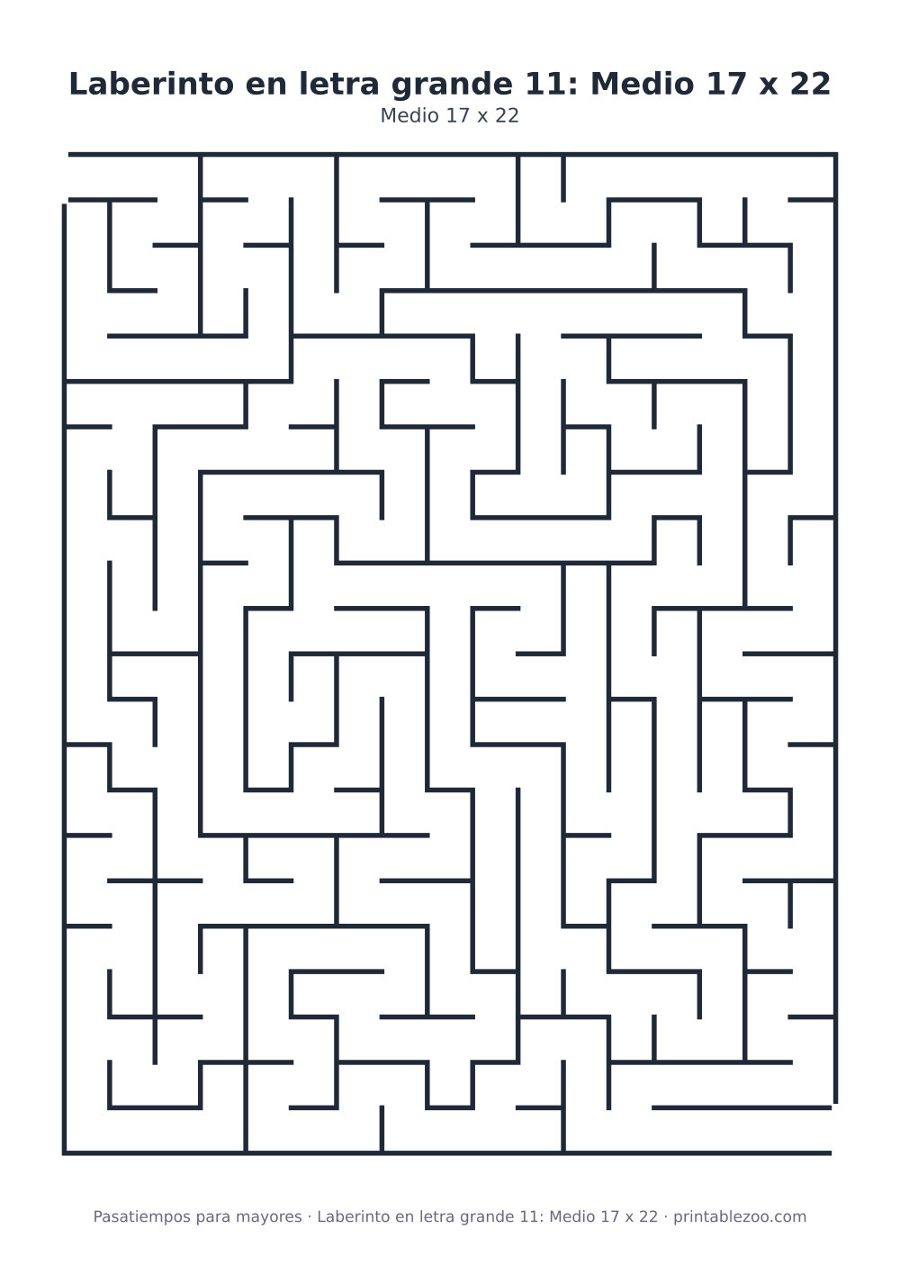Laberinto en letra grande 11: Medio 17 x 22